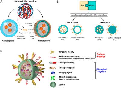 Advanced Polymeric Nanoagents for Oral Cancer Theranostics: A Mini Review